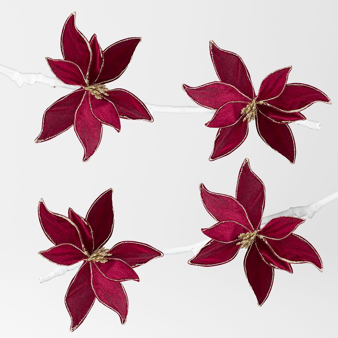 https://s3-ap-southeast-2.amazonaws.com/fusionfactory.commerceconnect.bbnt.production/pim_media/000/152/511/M_F-MR-Velvet-Poinsettia-on-Clip-Ruby_S4_22147901_SI.jpg?1691979441