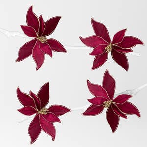 https://s3-ap-southeast-2.amazonaws.com/fusionfactory.commerceconnect.bbnt.production/pim_media/000/152/511/M_F-MR-Velvet-Poinsettia-on-Clip-Ruby_S4_22147901_SI.jpg?1691979441