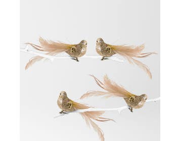 https://s3-ap-southeast-2.amazonaws.com/fusionfactory.commerceconnect.bbnt.production/pim_media/000/153/062/M_F-Xmas-TE-LU-Bird-on-Clip-w-Curly-Feather-Tail-Soft-Gold_S4_22173601_SI.jpg?1692523314