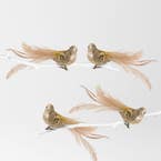 https://s3-ap-southeast-2.amazonaws.com/fusionfactory.commerceconnect.bbnt.production/pim_media/000/153/062/M_F-Xmas-TE-LU-Bird-on-Clip-w-Curly-Feather-Tail-Soft-Gold_S4_22173601_SI.jpg?1692523314