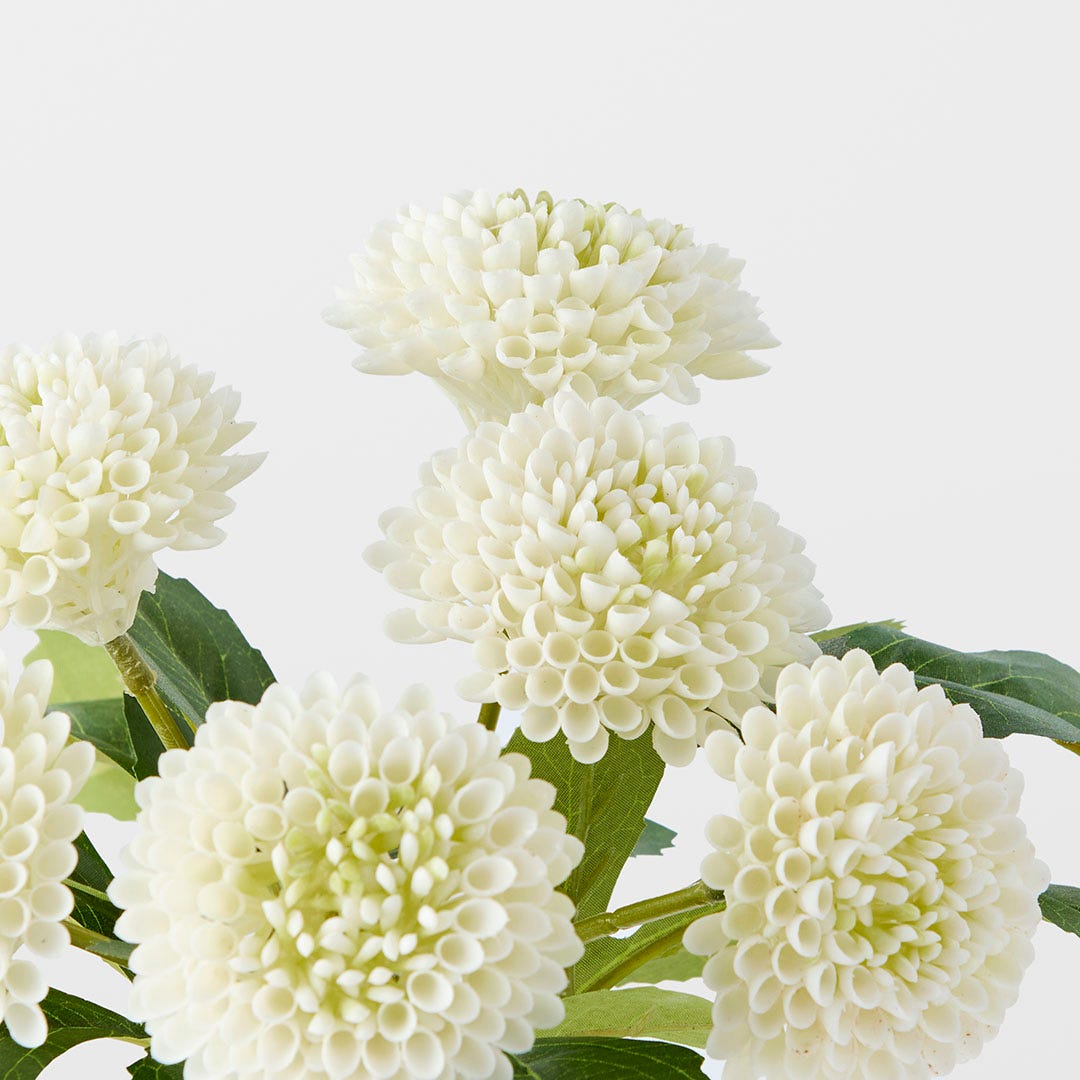https://s3-ap-southeast-2.amazonaws.com/fusionfactory.commerceconnect.bbnt.production/pim_media/000/182/527/M_F_Dahlia-in-Glass-Vase_White_26131501_Detail_SI.jpg?1734578703