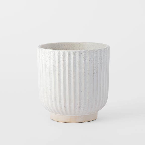 https://s3-ap-southeast-2.amazonaws.com/fusionfactory.commerceconnect.bbnt.production/pim_media/000/184/904/M_F_Ribbed-Ceramic-Pot-Med_Off-White_26123101_SI.jpg?1734668332