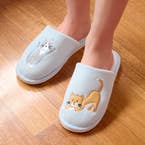 https://s3-ap-southeast-2.amazonaws.com/fusionfactory.commerceconnect.bbnt.production/pim_media/000/202/203/M_F_S25-26_Summer-PJs_LS_Tabby_Novelty_Slippers_SI.jpg?1759456347