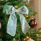 https://s3-ap-southeast-2.amazonaws.com/fusionfactory.commerceconnect.bbnt.production/pim_media/000/198/313/M_F_Xmas_S25_LS_Location_Evergreen_Tree_Lrg-Velvet_Bow_Clip-Detail-3_SI.jpg?1753421863