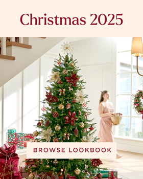 Christmas Lookbook 2025