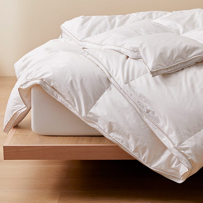 Winter Quilts and Duvets