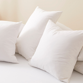 Shop Pillows Shop Pillows